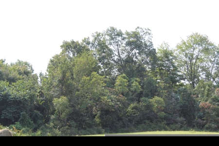 Land Auction -Crop, Pasture, Building & Hunting for Sale - image 31