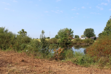 Land Auction -Crop, Pasture, Building & Hunting for Sale - image 18