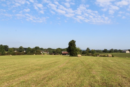 Land Auction -Crop, Pasture, Building & Hunting for Sale - image 9