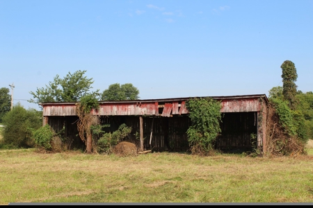 Land Auction -Crop, Pasture, Building & Hunting for Sale - image 17