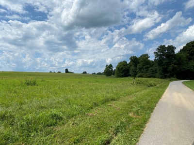 Land Auction -Crop, Pasture, Building & Hunting for Sale - image 2
