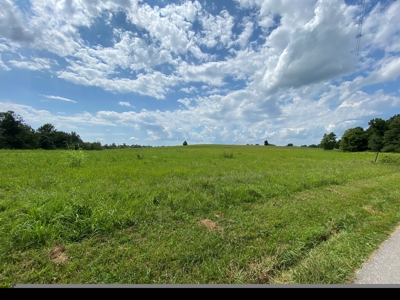 Land Auction -Crop, Pasture, Building & Hunting for Sale - image 4