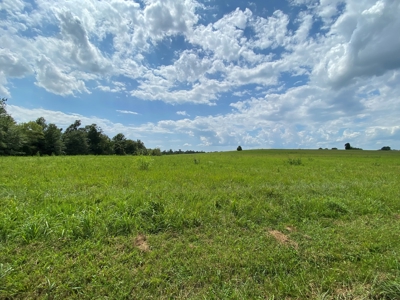 Land Auction -Crop, Pasture, Building & Hunting for Sale - image 1