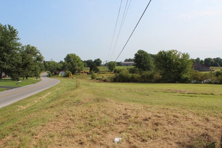 Land Auction -Crop, Pasture, Building & Hunting for Sale - image 27