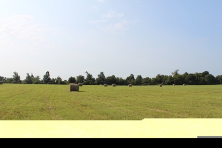 Land Auction -Crop, Pasture, Building & Hunting for Sale - image 23