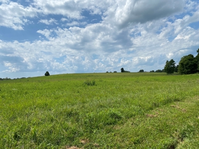 Land Auction -Crop, Pasture, Building & Hunting for Sale - image 3