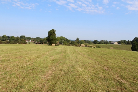Land Auction -Crop, Pasture, Building & Hunting for Sale - image 11