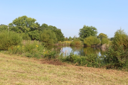 Land Auction -Crop, Pasture, Building & Hunting for Sale - image 15