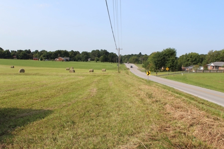 Land Auction -Crop, Pasture, Building & Hunting for Sale - image 26