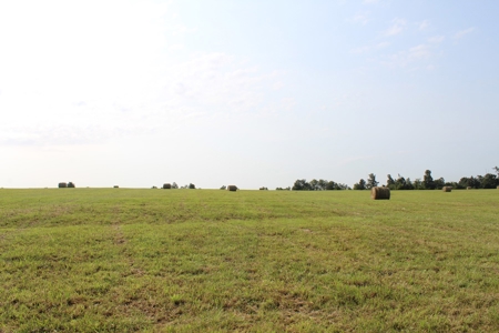 Land Auction -Crop, Pasture, Building & Hunting for Sale - image 21