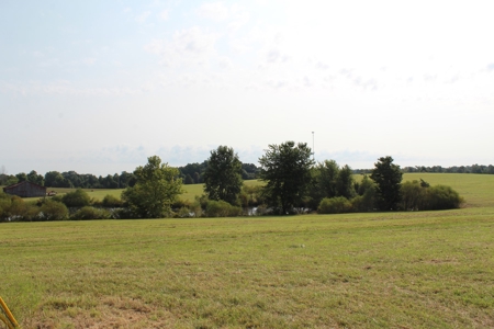 Land Auction -Crop, Pasture, Building & Hunting for Sale - image 24
