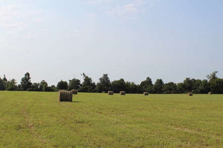 Land Auction -Crop, Pasture, Building & Hunting for Sale - image 22