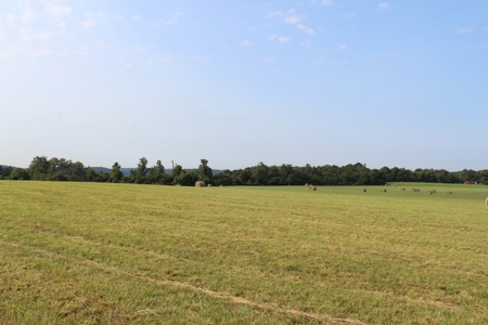 Land Auction -Crop, Pasture, Building & Hunting for Sale - image 12