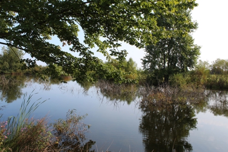Land Auction -Crop, Pasture, Building & Hunting for Sale - image 30