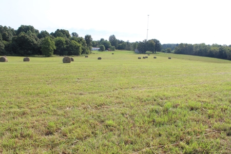 Land Auction -Crop, Pasture, Building & Hunting for Sale - image 10