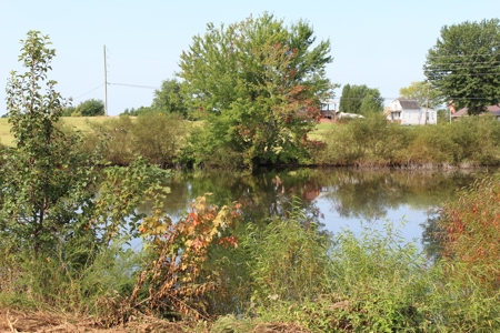 Land Auction -Crop, Pasture, Building & Hunting for Sale - image 19