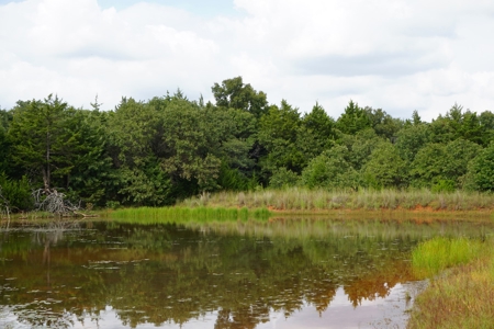 No Reserve Auction, OK High Fence Hunting Land Oct 18 - image 3