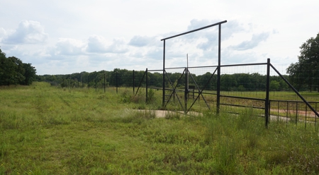 No Reserve Auction, High Fence Hunting Land Oct 18 @ 1:30 pm - image 7