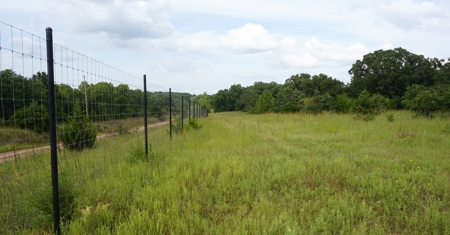 No Reserve Auction, High Fence Hunting Land Oct 18 @ 1:30 pm - image 8