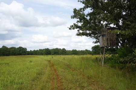 No Reserve Auction, High Fence Hunting Land Oct 18 @ 1:30 pm - image 4