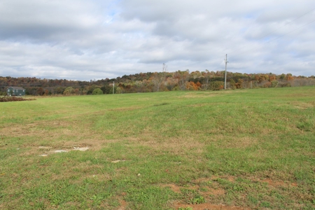 Mult-Property Auction with Homes, Duplex and Vacant Land - image 7
