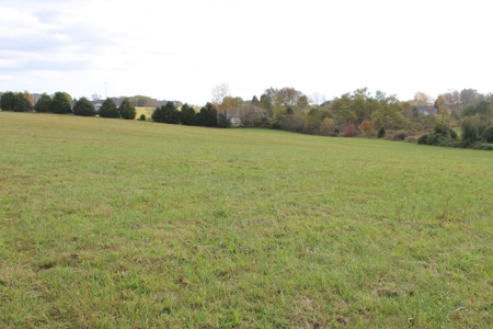 Mult-Property Auction with Homes, Duplex and Vacant Land - image 5