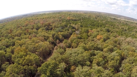 No Reserve Land Auction, 72 Acres +/-, Nov 22 @ 1:30 - image 5