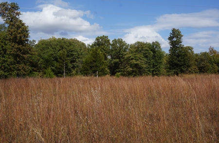 No Reserve Land Auction, 72 Acres +/-, Nov 22 @ 1:30 - image 3