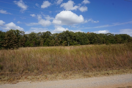 No Reserve Land Auction, 72 Acres +/-, Nov 22 @ 1:30 - image 2