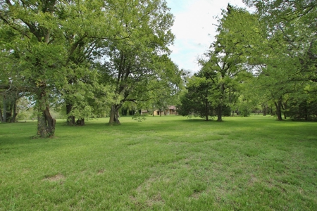 Auction Property: Main and Guest house on 4.5 +/-  acres. - image 12