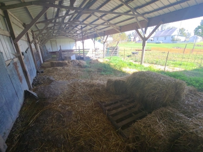 Small Acreage With Buildings For Sale - image 4