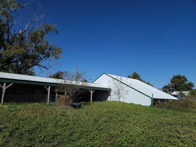 Small Acreage With Buildings For Sale - image 9