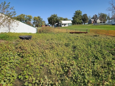 Small Acreage With Buildings For Sale - image 8