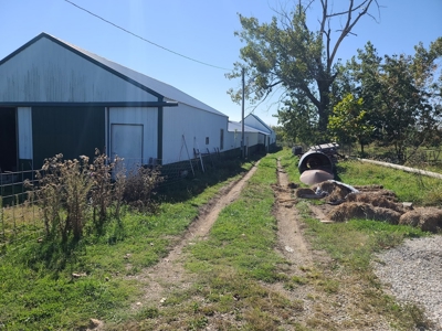 Small Acreage With Buildings For Sale - image 20