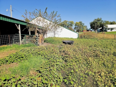 Small Acreage With Buildings For Sale - image 6