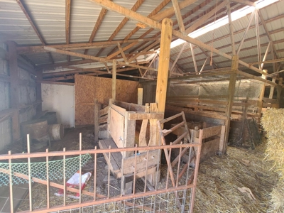 Small Acreage With Buildings For Sale - image 14