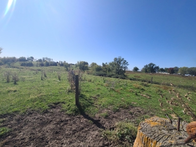 Small Acreage With Buildings For Sale - image 19