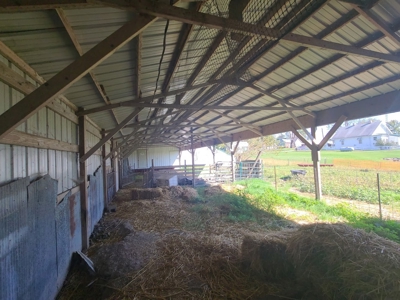 Small Acreage With Buildings For Sale - image 5