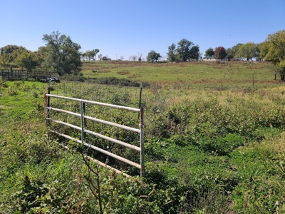 Small Acreage With Buildings For Sale - image 22