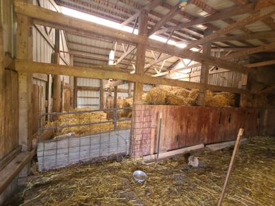 Small Acreage With Buildings For Sale - image 18
