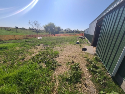 Small Acreage With Buildings For Sale - image 16
