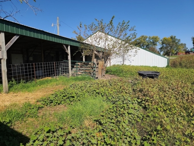Small Acreage With Buildings For Sale - image 7