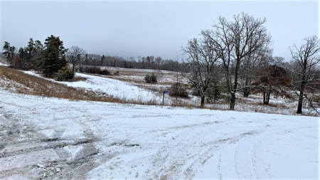 Minnesota Commercial Development Land for Sale by Auction - image 27