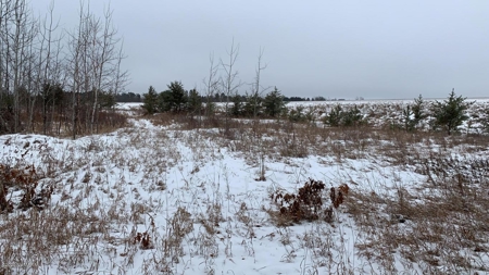 Minnesota Commercial Development Land for Sale by Auction - image 11