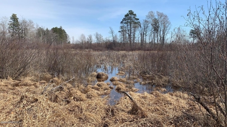 Minnesota Commercial Development Land for Sale by Auction - image 2