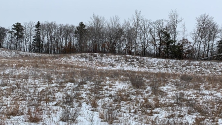 Minnesota Commercial Development Land for Sale by Auction - image 22