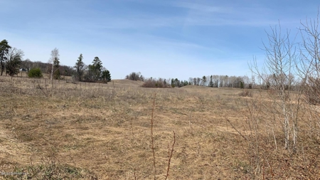 Minnesota Commercial Development Land for Sale by Auction - image 8