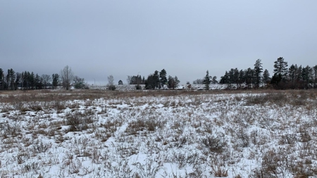 Minnesota Commercial Development Land for Sale by Auction - image 24