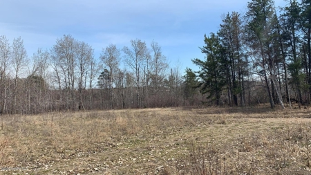 Minnesota Commercial Development Land for Sale by Auction - image 4