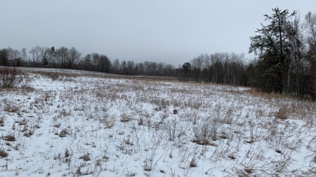 Minnesota Commercial Development Land for Sale by Auction - image 12